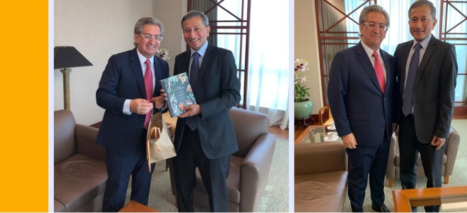 El Embajador Manuel Solano sostuvo un encuentro con el Ministro de Relaciones Exteriores de Singapur